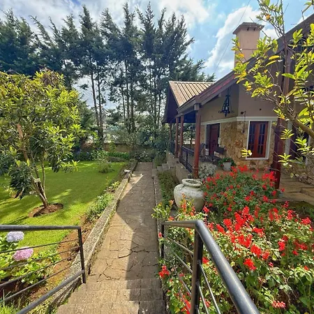 Oasis Nuwaraeliya * Nuwara Eliya