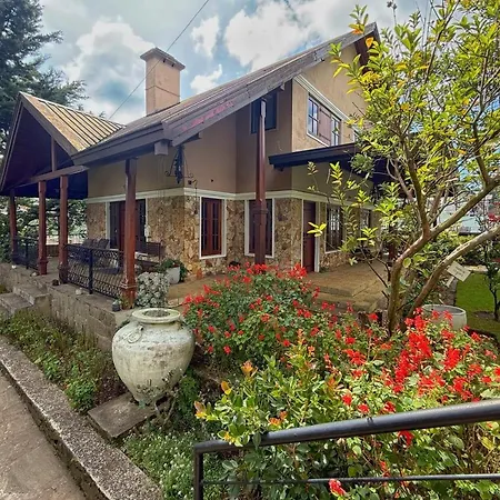 Oasis Nuwaraeliya