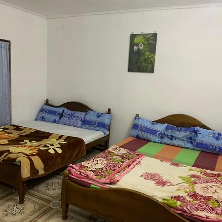 Montella Guest house *