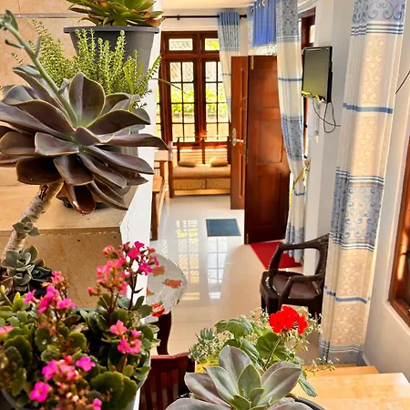 Guest house Shiny View