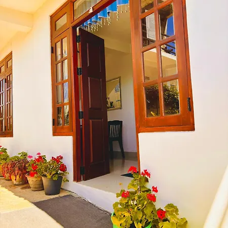 Guest house Shiny View 3*