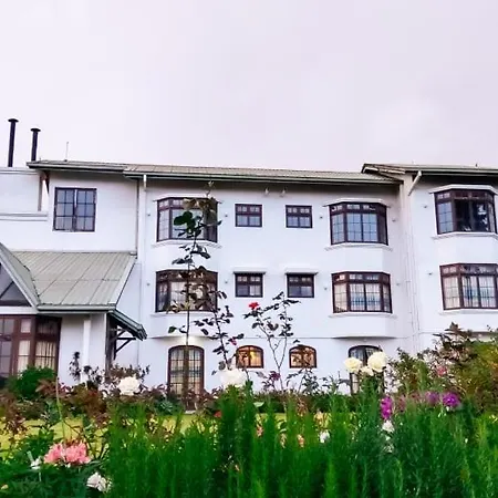 Tea View Nuwaraeliya