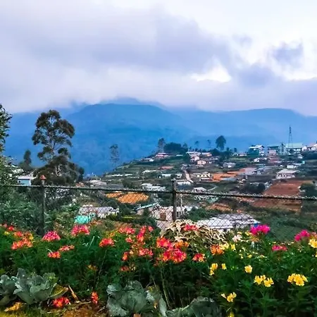 Tea View Nuwaraeliya * Nuwara Eliya