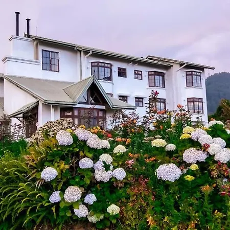 Tea View Nuwaraeliya Nuwara Eliya