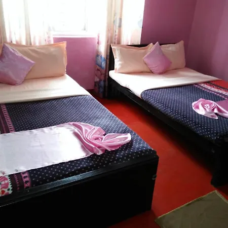 New Beegle * Nuwara Eliya