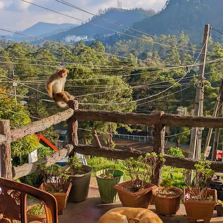 Travellers Nest Nuwara Eliya