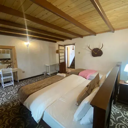 Hotel Peak View