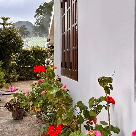 Shiny View Guest house