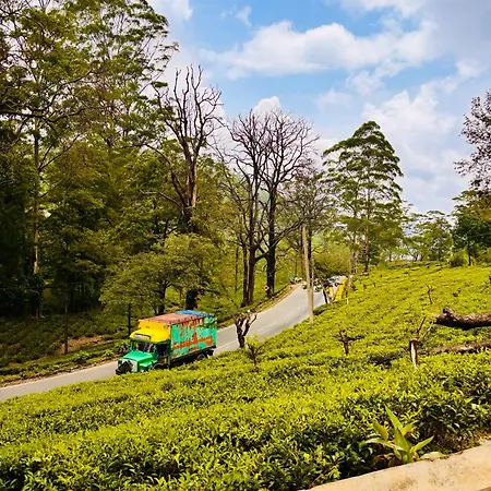 Shiny View Guest house Nuwara Eliya