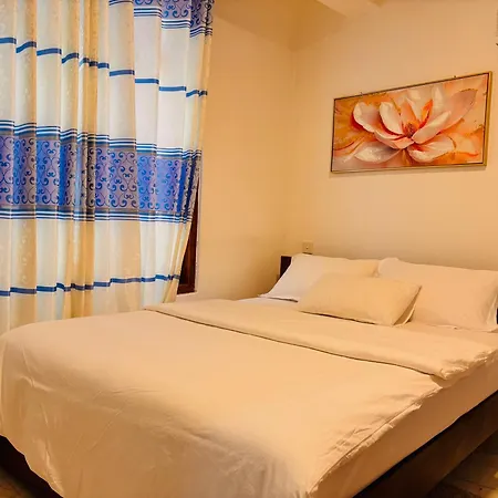 Shiny View Guest house