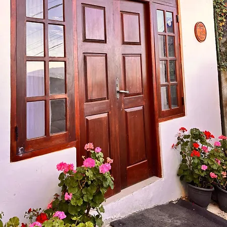 Guest house Shiny View 3*