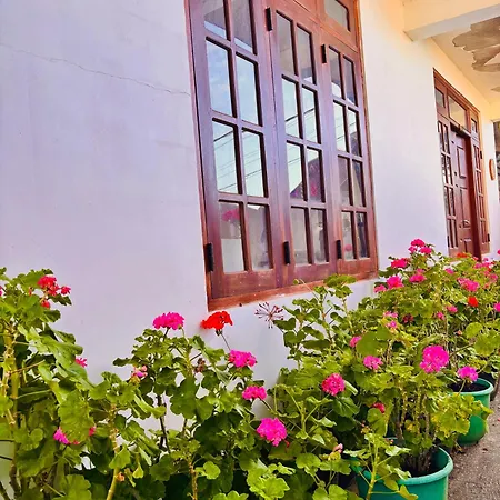 Guest house Shiny View Nuwara Eliya