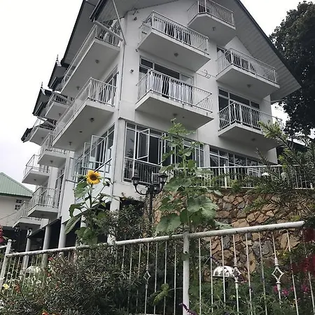 Misty Paradise Of Gregory