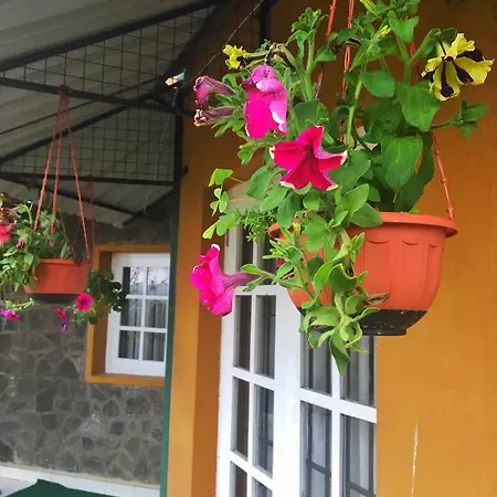 Guest house Lady Horton 2*