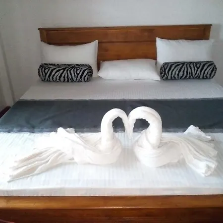 Guest house Real 2*