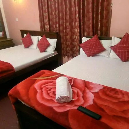 Guest house Real
