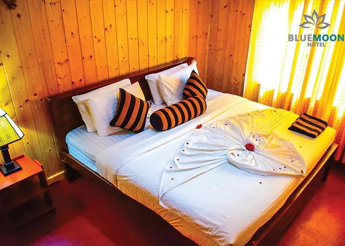 Blue Moon Hotel