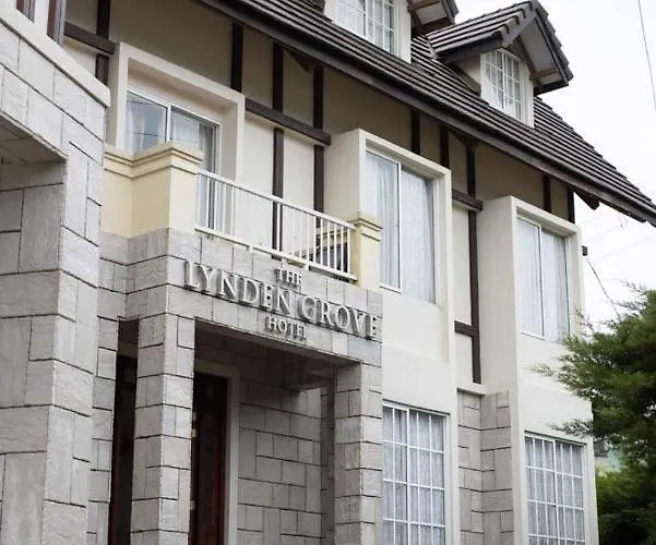 The Lynden Grove
