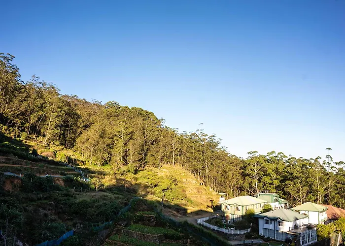 Forest View Lodge