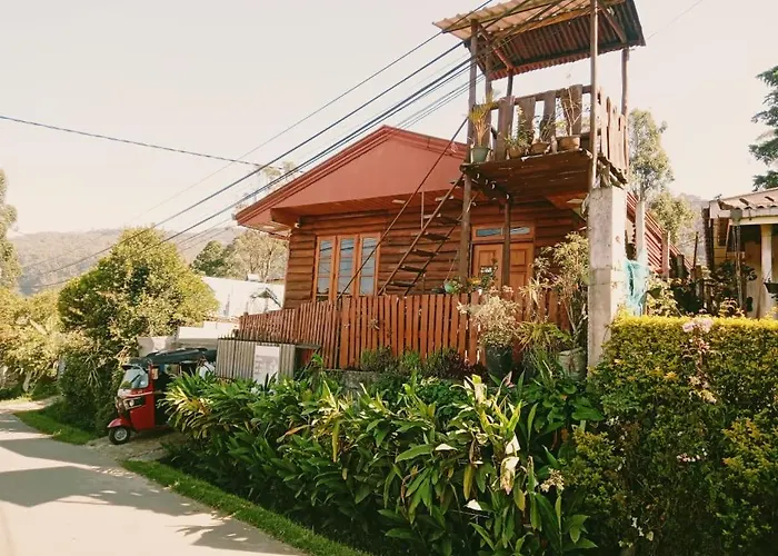 20/20 Wood Cabana