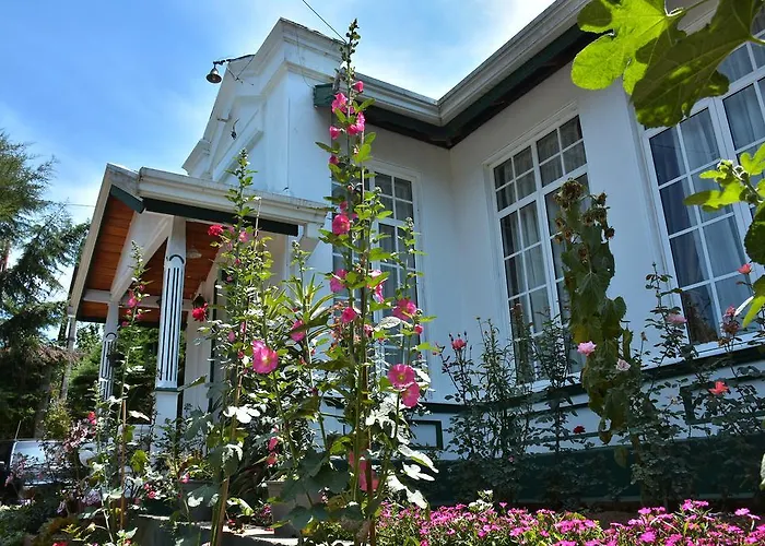 Princess Bungalows
