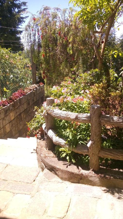 Guest house Redwood Homestay *