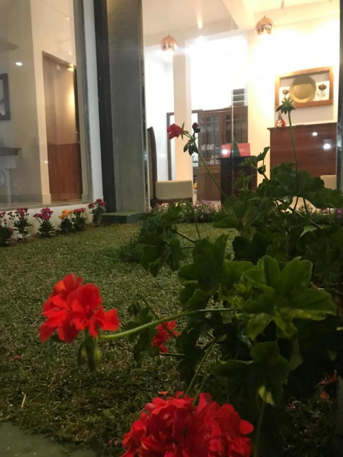 Ivy Bungalow Guest house *