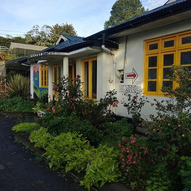 Hostel Laughing Leopard Nuwara Eliya