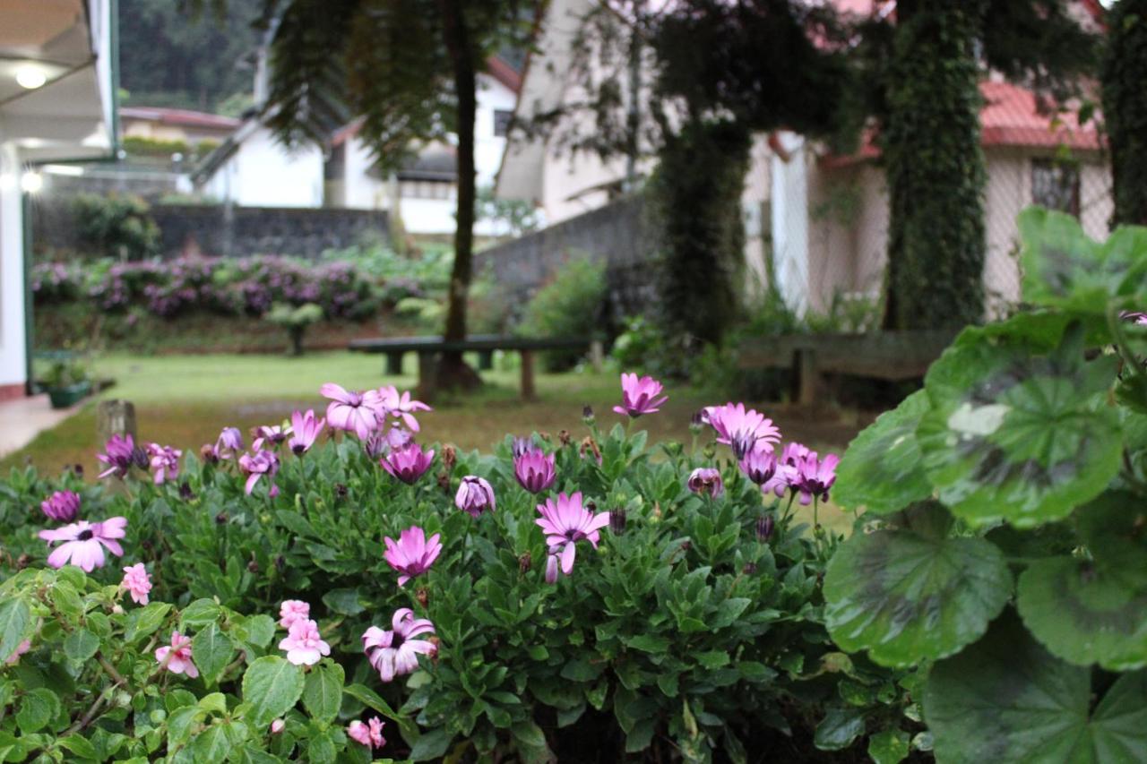 Blossomwell Guest house