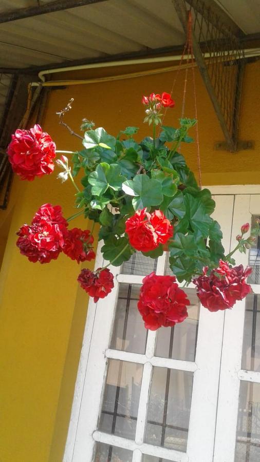 Lady Horton Guest house 2*