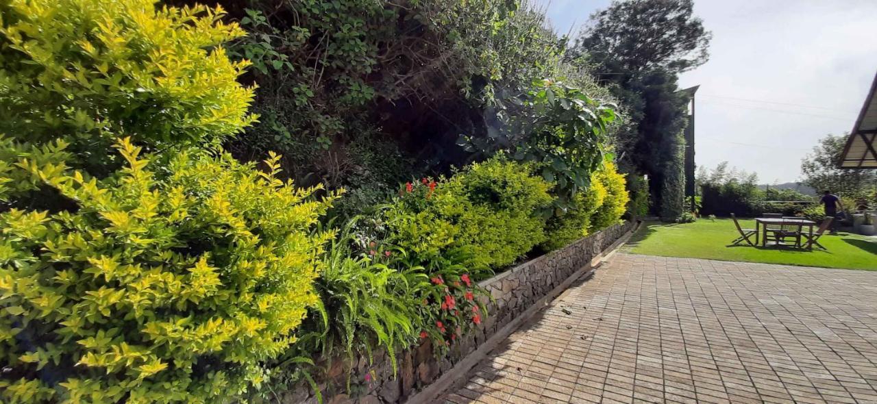 Oasis Bungalow - Nuwara Eliya