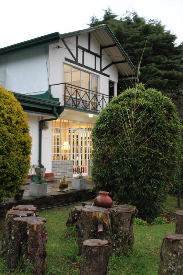 Blossomwell * Nuwara Eliya