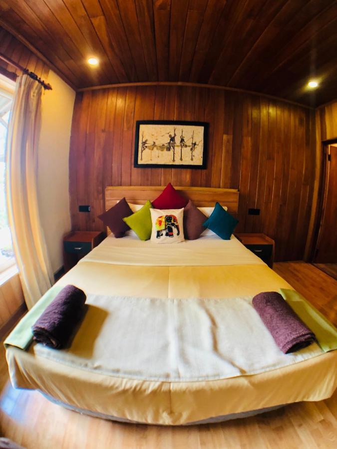 Bed & Breakfast Pigeons Nest 3*