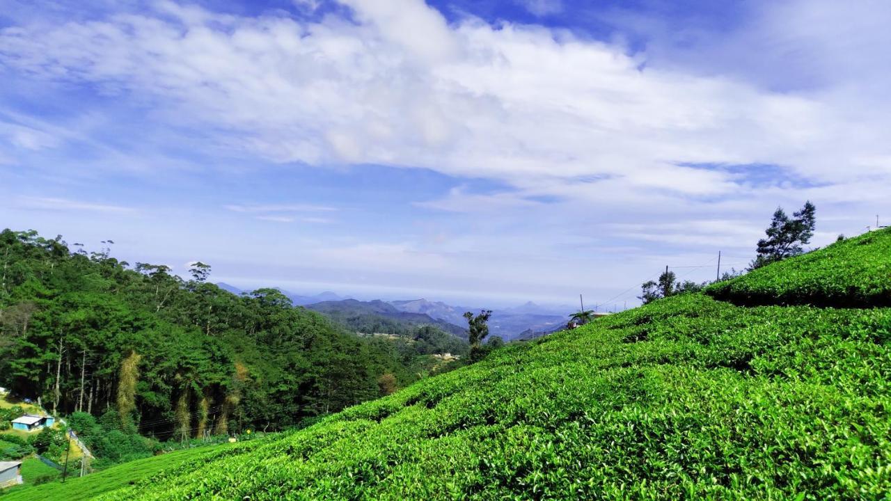 The Royal Terrace Holiday Bungalow Bed & Breakfast Nuwara Eliya