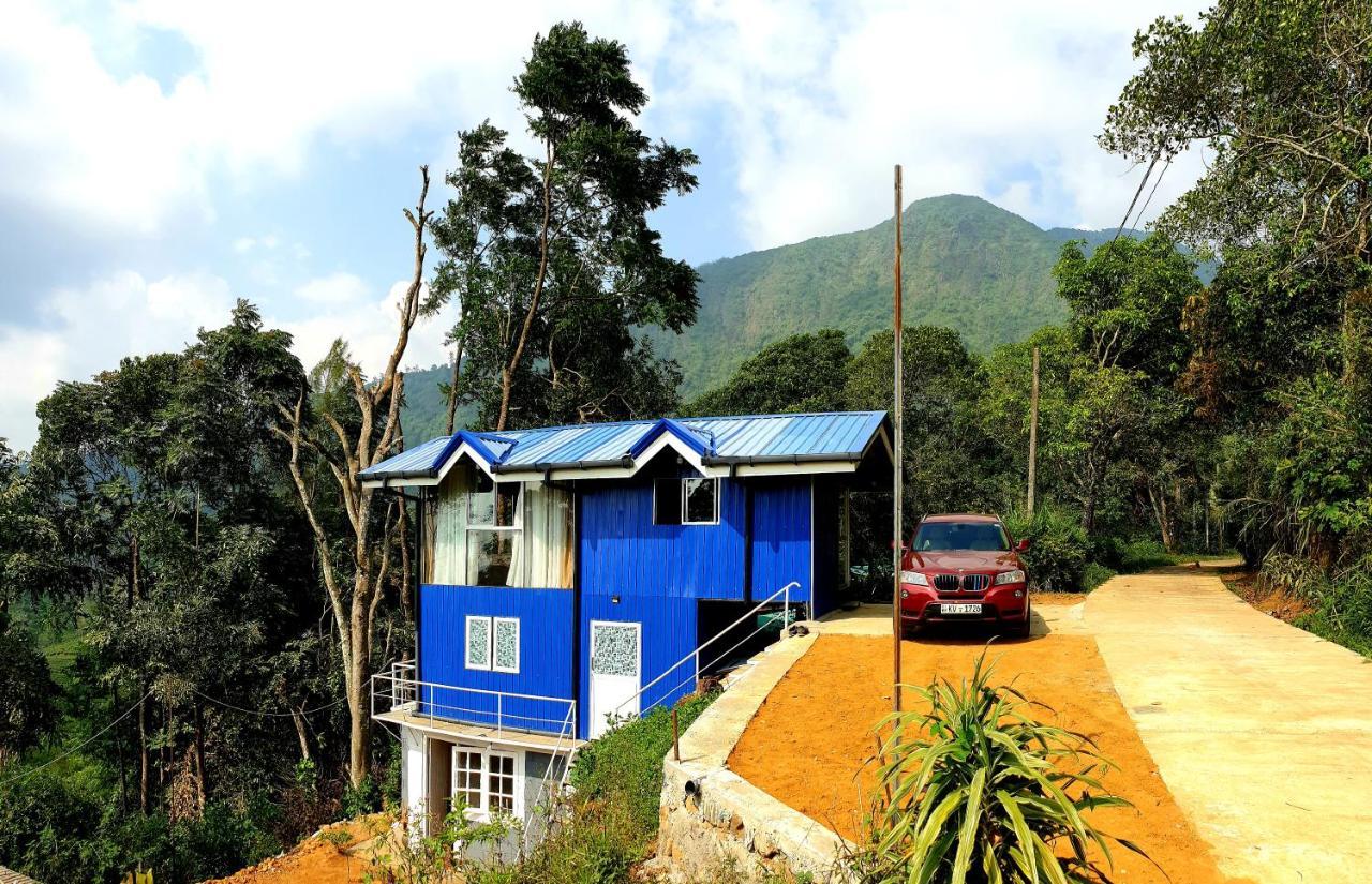 Kithul * Nuwara Eliya