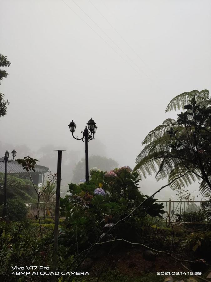 Misty Paradise Of Gregory Bed & Breakfast