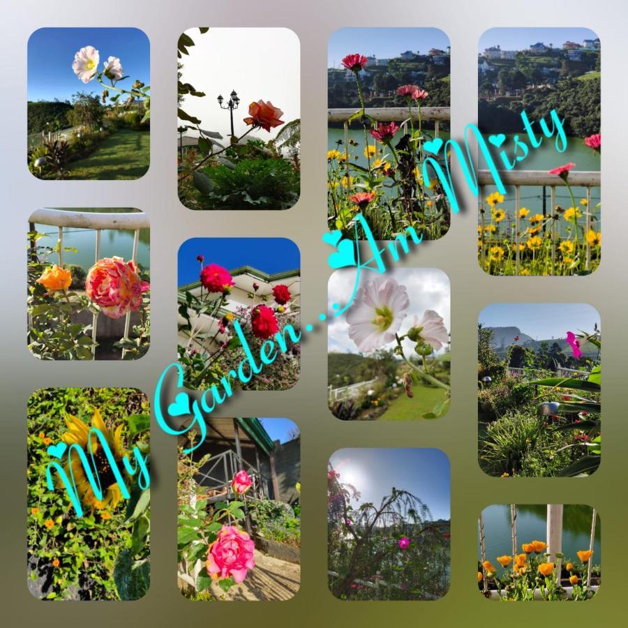 Misty Paradise Of Gregory * Nuwara Eliya