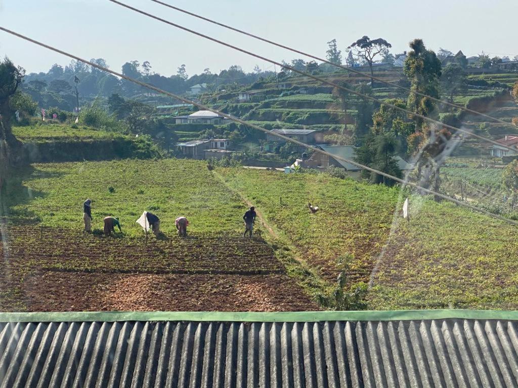 Tea Breeze Luxury Apartment Nuwara Eliya