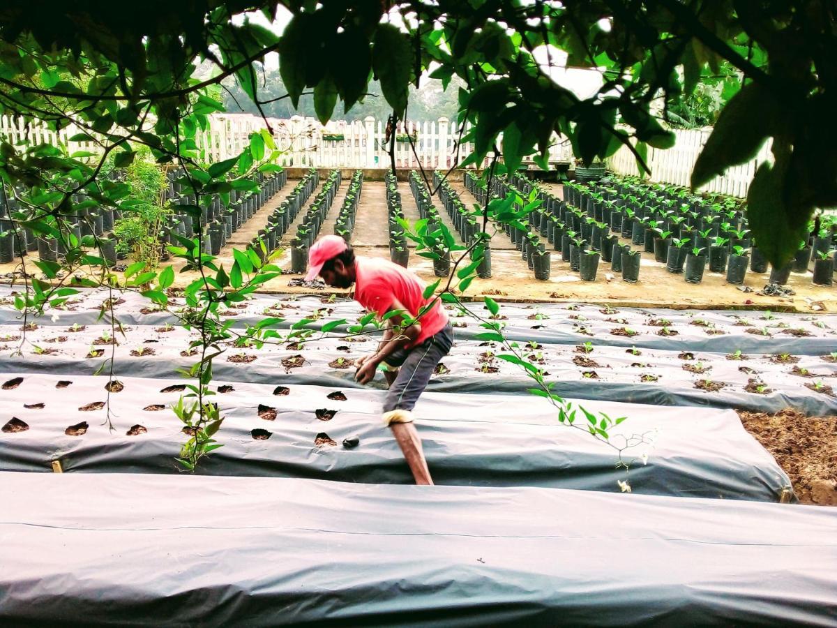 Guest house Vibe Way Nuwara Eliya