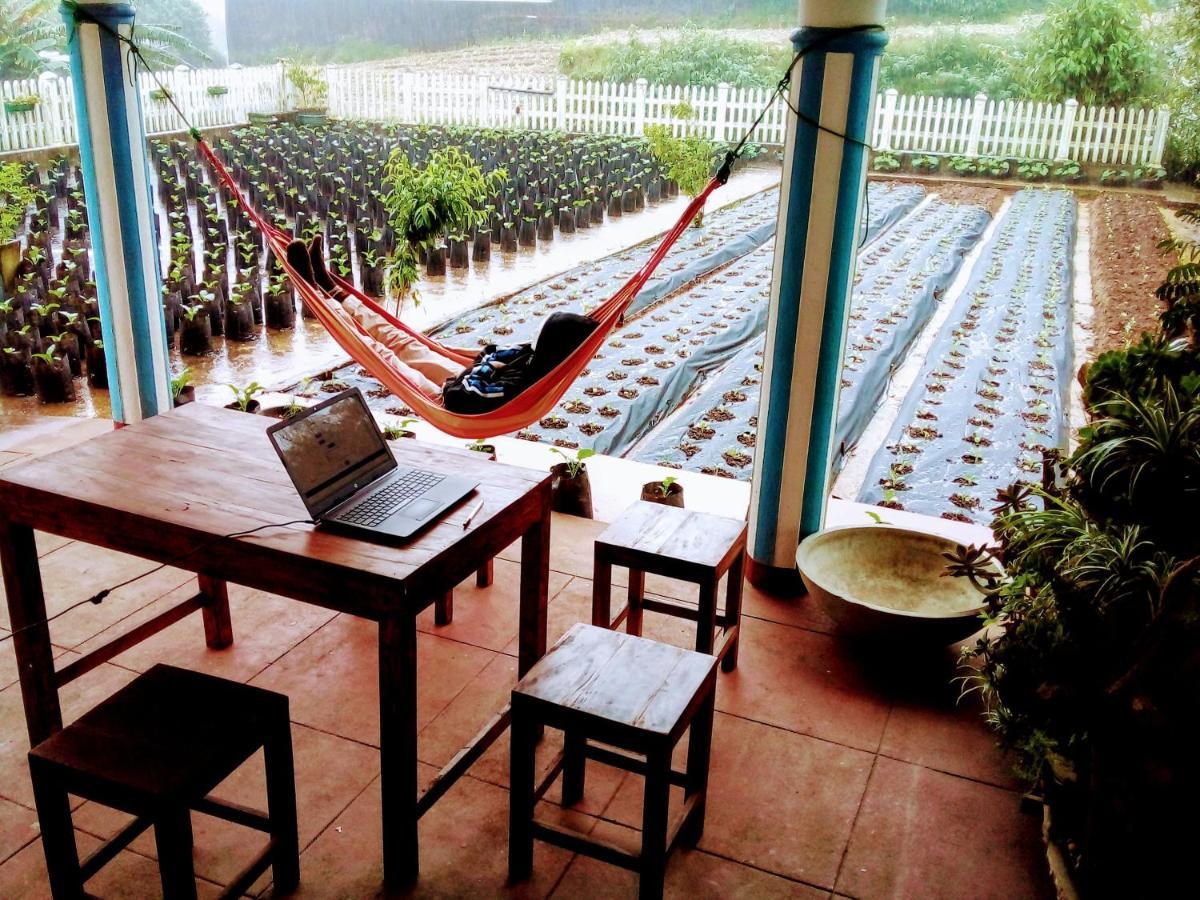 Vibe Way Guest house Nuwara Eliya