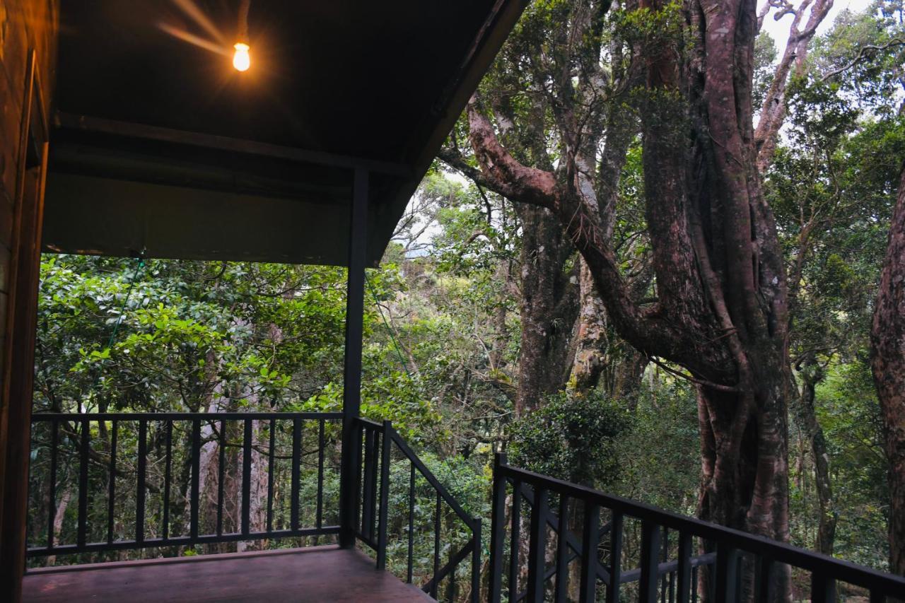 Mandaram Eco Resort 3*