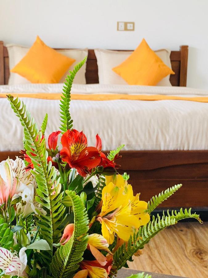 Guest house Andora