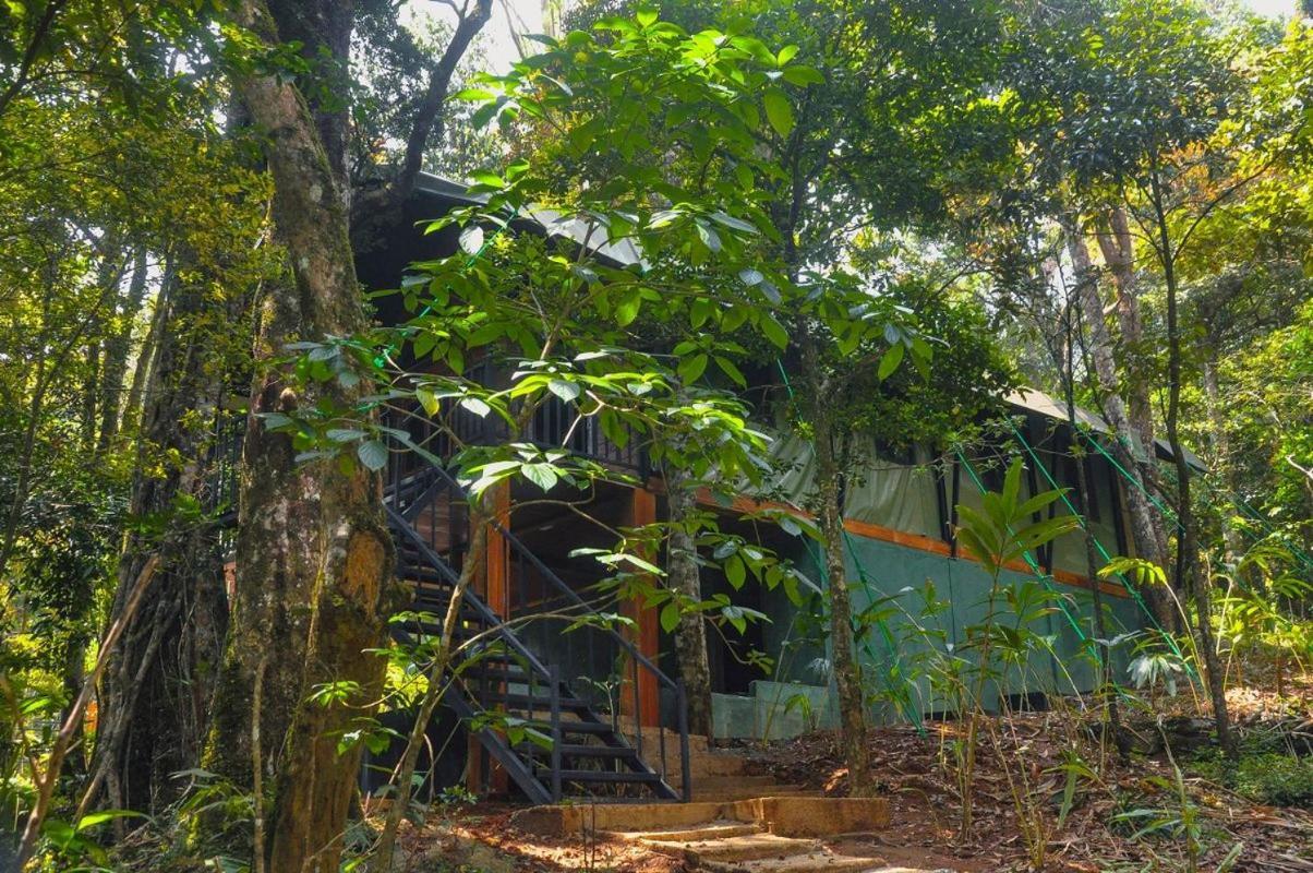 Mandaram Eco 3*