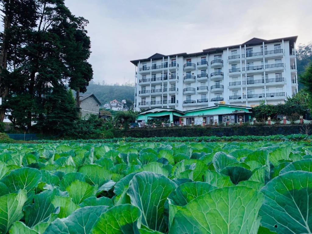 Apartment The Teak By Lakbima Nuwara Eliya