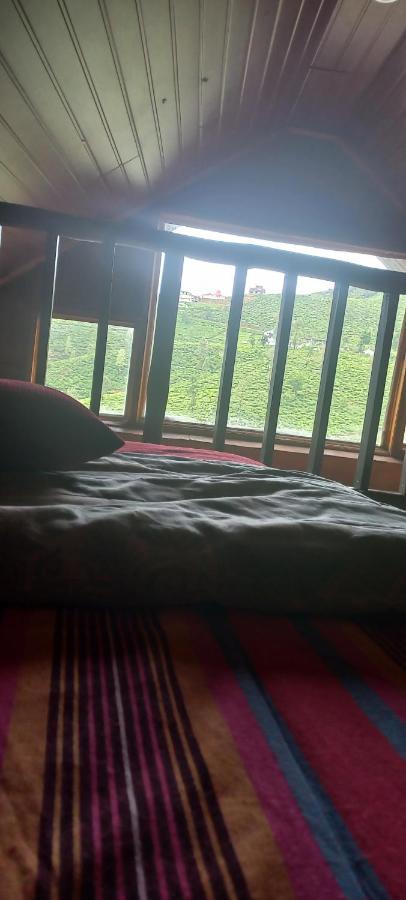 Nature Cabana Nuwaraeliya * Nuwara Eliya