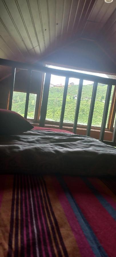 Nature Cabana Nuwaraeliya
