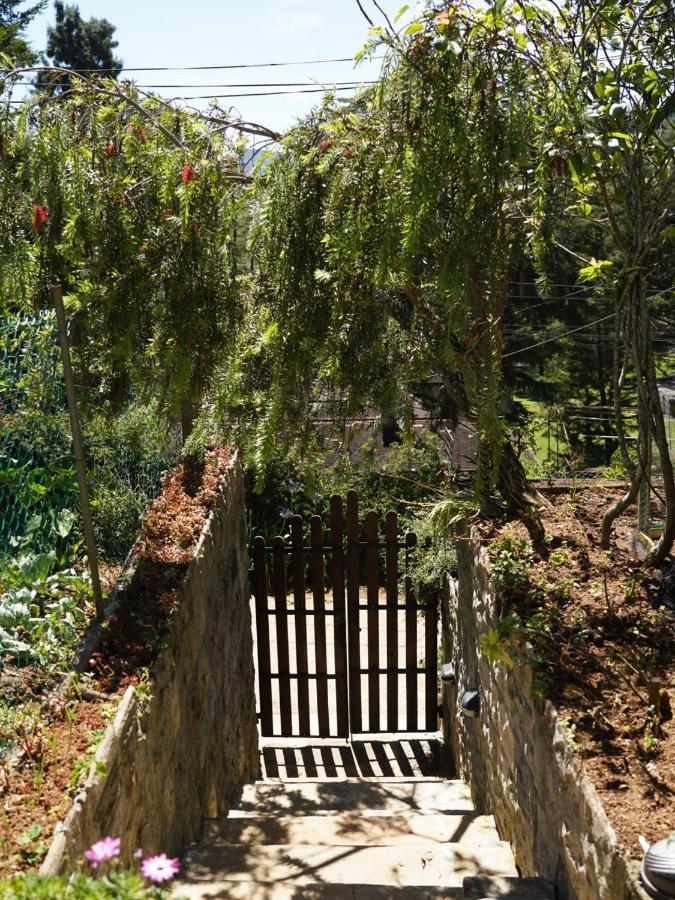 Redwood Homestay