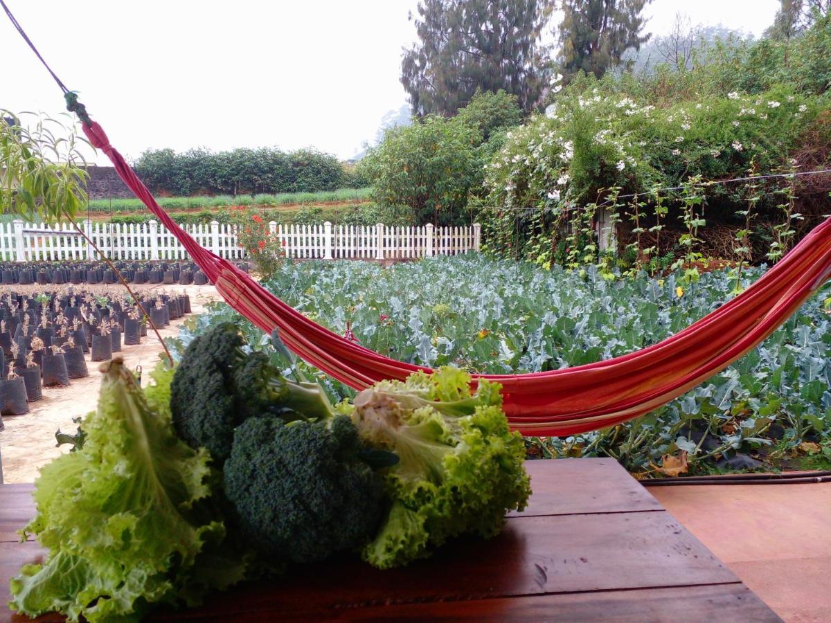 Vibe Way Guest house Nuwara Eliya