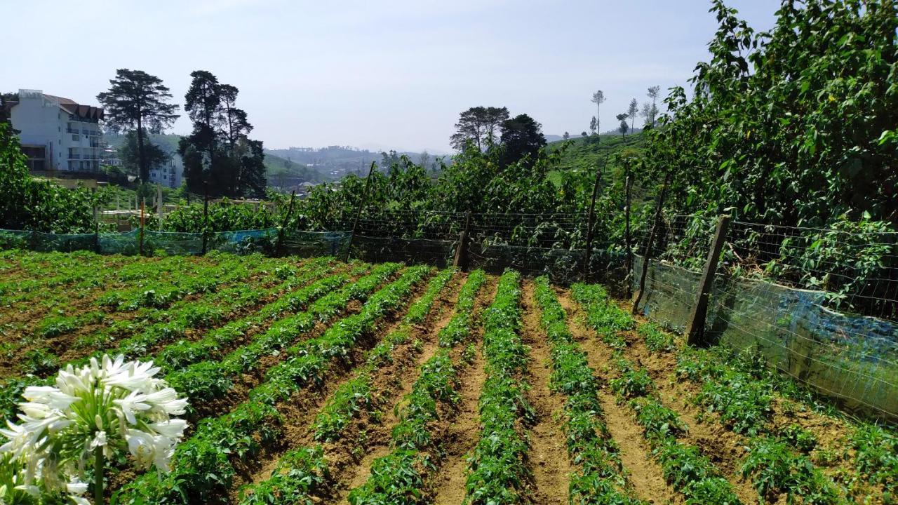 Country house Shirin1892