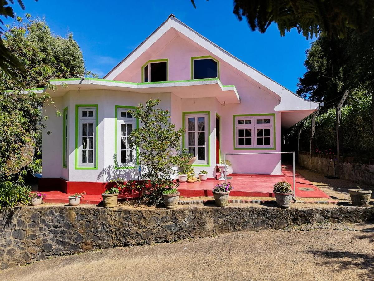 Homestay Mountain View